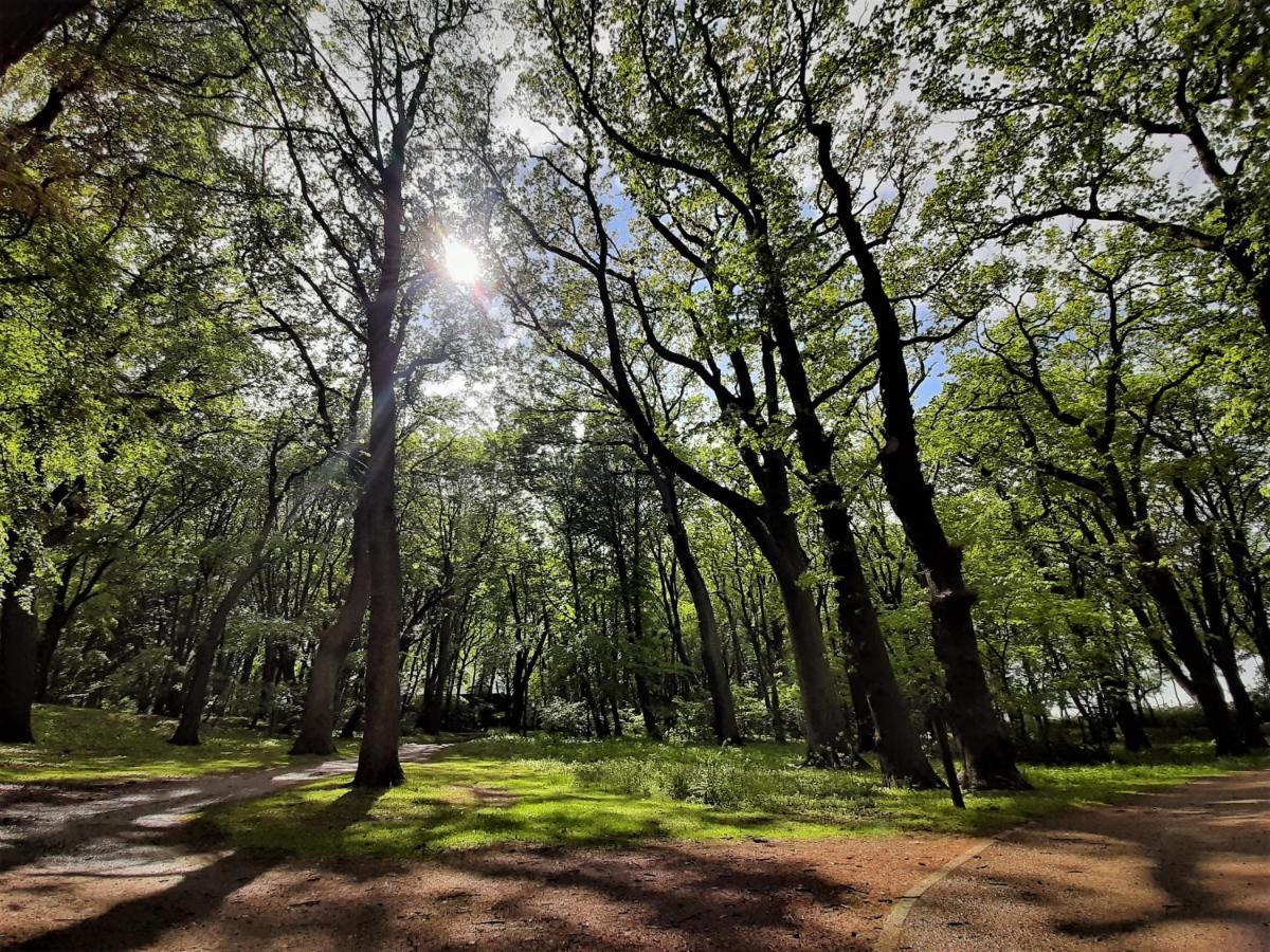 Domki Ajna Park W Uzdrowisku 코워브제크 외부 사진